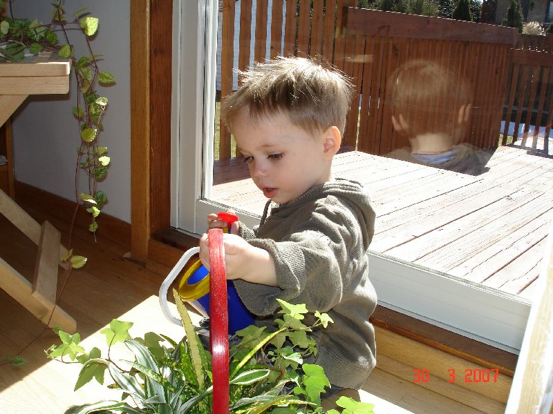 Félix, le jardinier