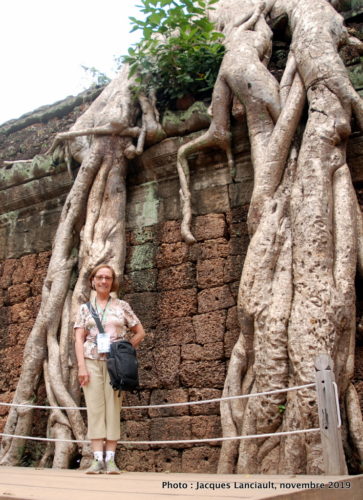 Novembre, Angkor, Cambodge