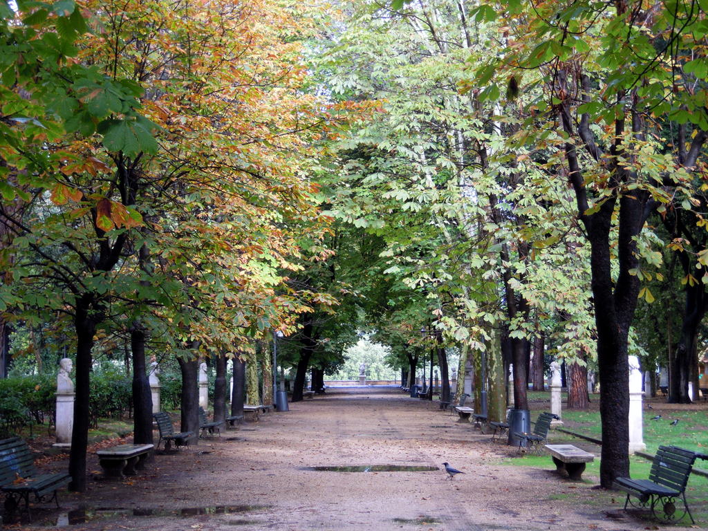 Magnifique le parc de la Villa Borghese