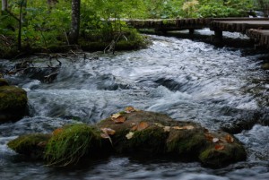 Parc national des lacs de Plitvice