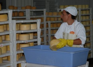Fromagerie de l'île de Pag.