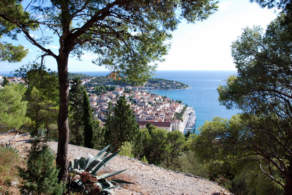 Ville de Hvar vue de la forteresse Fortica Španjola, Hvar, Dalmatie centrale, Croatie