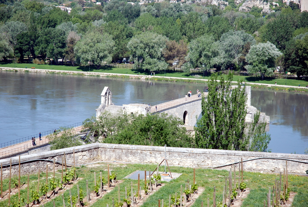 Le pont d’Avignon vu du Rocher des Doms, Avignon, France