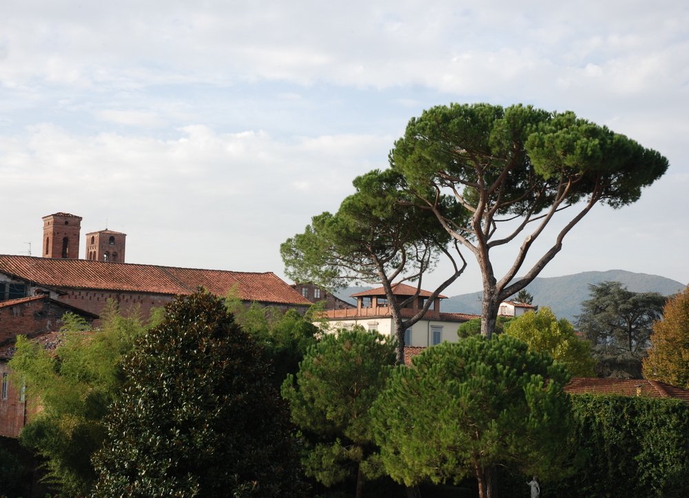 Lucques, Toscane, Italie