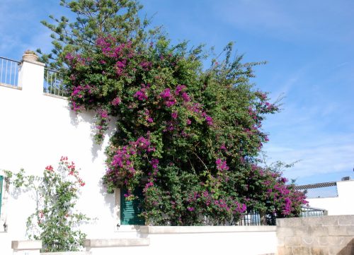 Otrante, Pouilles, Italie