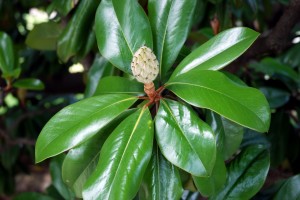 Paris2013DSC_0619