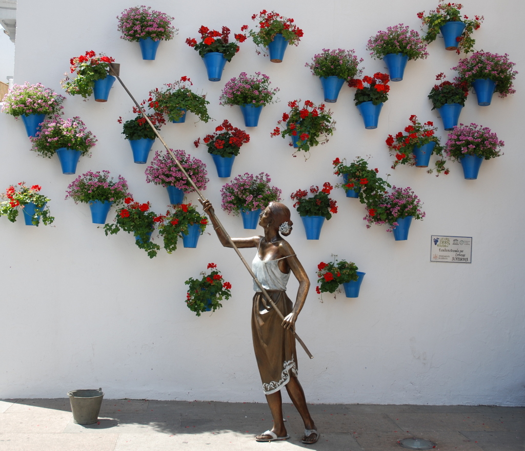 Fiesta de los patios de Cordoba, Cordoue, Espagne