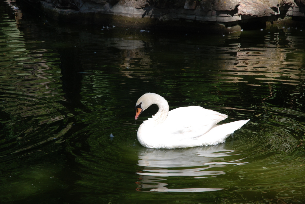 Parque de Maria Luisa, Séville, Espagne