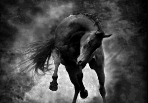 cheval