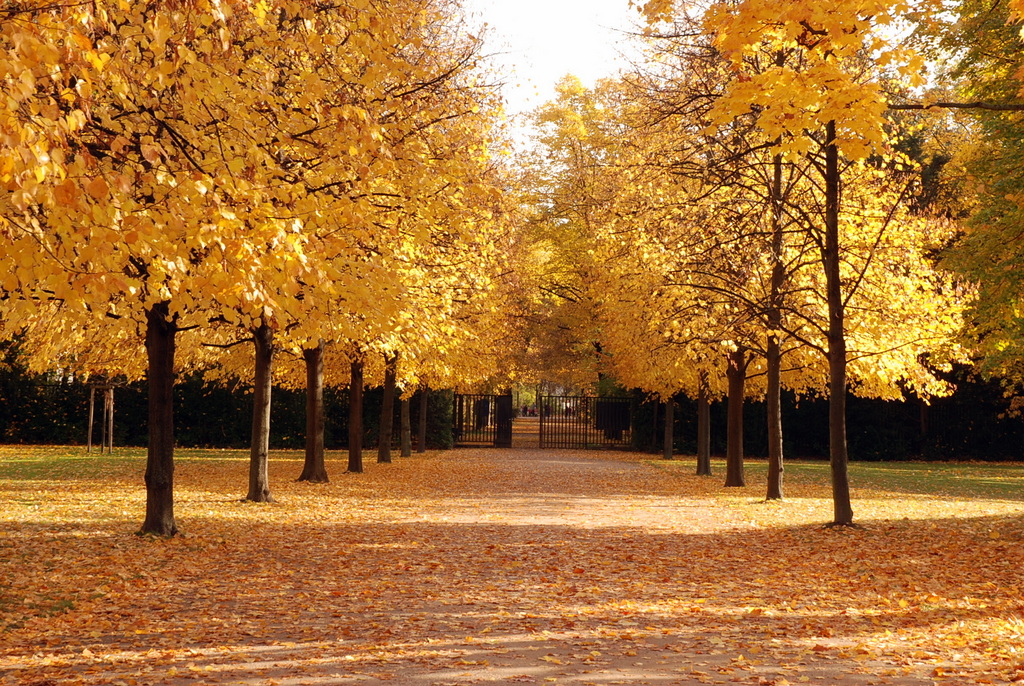 Parc großer Tiergarten, Berlin, Allemagne