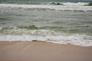 FLDSC_0030