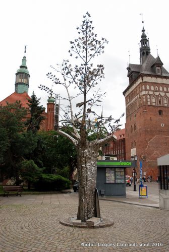 Arbre du Millénaire, Gdańsk, Pologne
