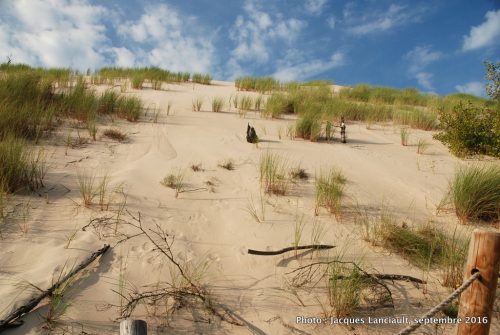 Dunes mouvantes du parc national de Słowiński, Pologne