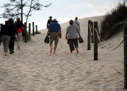 Dunes mouvantes du parc national de Słowiński, Pologne