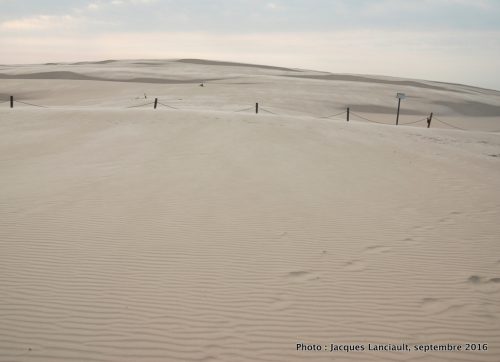 Dunes mouvantes du parc national de Słowiński, Pologne