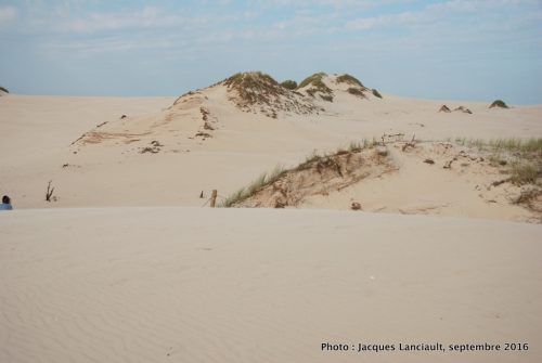 Dunes mouvantes du parc national de Słowiński, Pologne