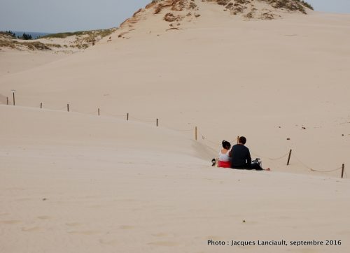 Dunes mouvantes du parc national de Słowiński, Pologne