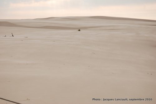 Dunes mouvantes du parc national de Słowiński, Pologne
