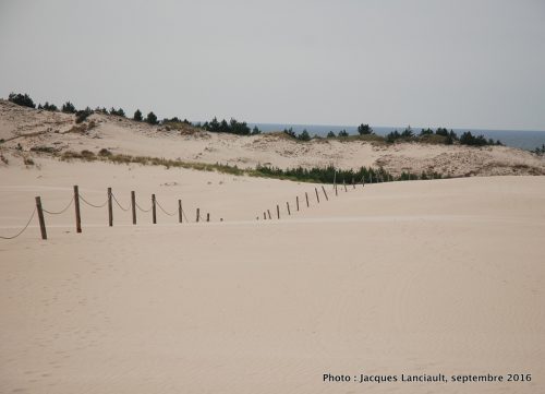Dunes mouvantes du parc national de Słowiński, Pologne