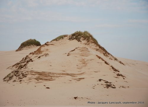 Dunes mouvantes du parc national de Słowiński, Pologne