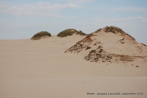 Dunes mouvantes du parc national de Słowiński, Pologne