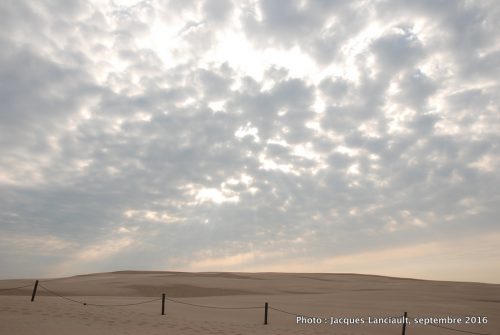 Dunes mouvantes du parc national de Słowiński, Pologne