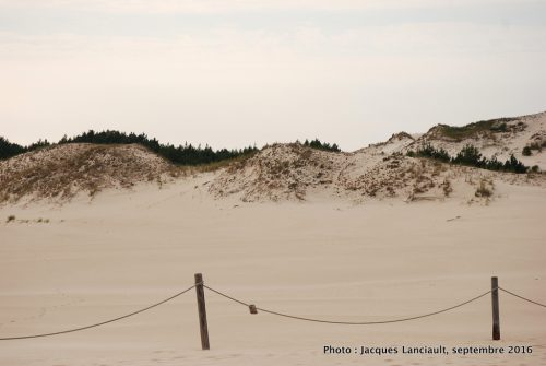 Dunes mouvantes du parc national de Słowiński, Pologne