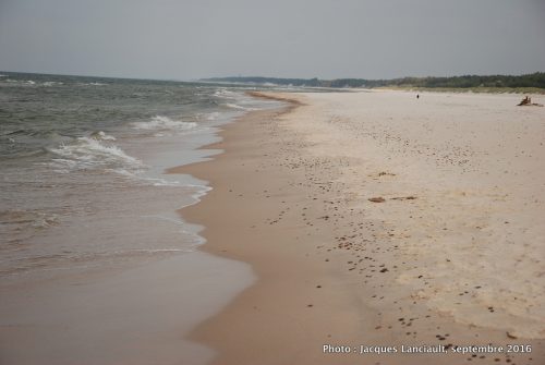 Plage sur la mer Baltique, parc national de Słowiński, Pologne