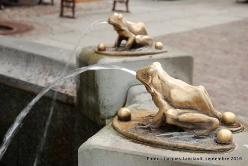 La fontaine des grenouilles, Toruń, Pologne