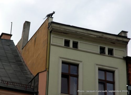 Toruń, Pologne