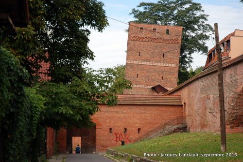 Tour penchée, Toruń, Pologne