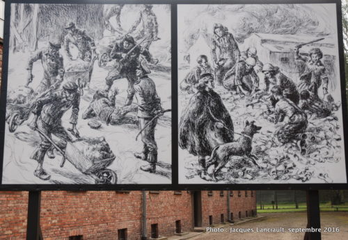 Camp de concentration et d’extermination d’Auschwitz-Birkenau, Oświęcim, Pologne