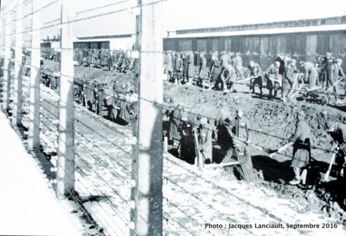Camp de concentration et d’extermination d’Auschwitz-Birkenau, Oświęcim, Pologne