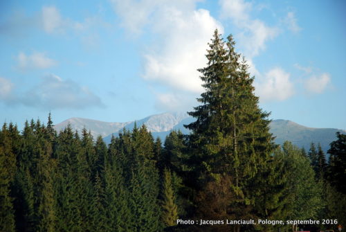 Les monts Tatras, Pologne