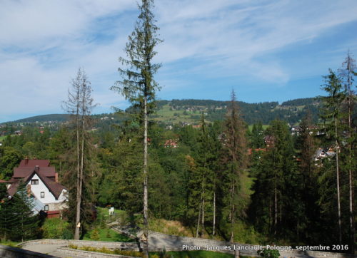 Vue sur la nature entourant le parc du sanctuaire Notre-Dame-de-Fatima, Zakopane, Pologne
