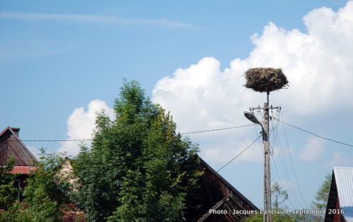 Dębno, Pologne