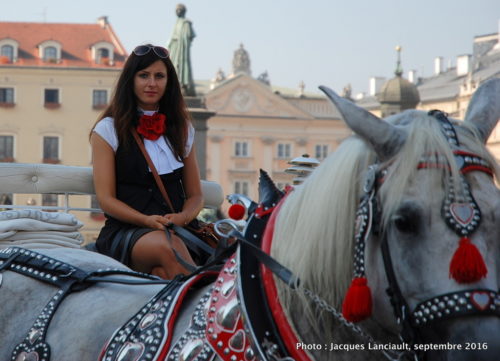 Calèches du rynek, Cracovie, Pologne