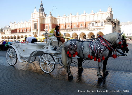 Calèches du rynek, Cracovie, Pologne