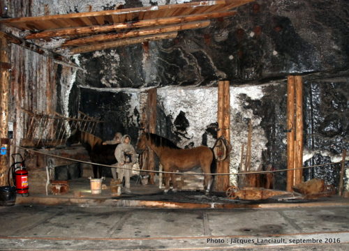 Salle Casimir le Grand, ancienne mine de sel, Wieliczka, Pologne