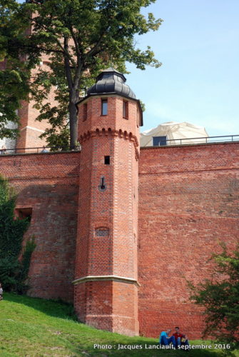 Château de Wawel, Cracovie, Pologne