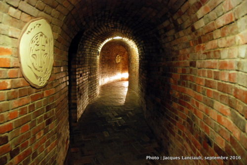 Souterrains, Sandomierz, Pologne