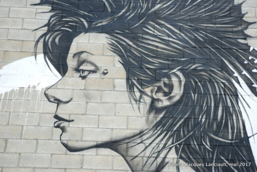 Murale, angle Notre-Dame et Côte Saint-Paul Montréal, Québec
