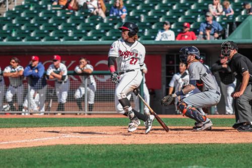 Vladimir Guerrero jr