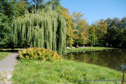 Jardins du palais de Wilanów, Varsovie, Pologne