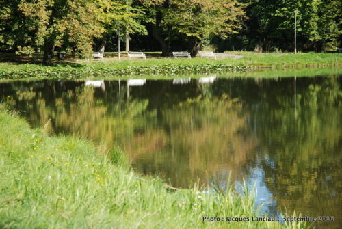Jardins du palais de Wilanów, Varsovie, Pologne