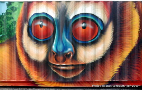 Murales du parc du Pélican, 2e avenue, Molson et Saint-Joseph Montréal, Québec