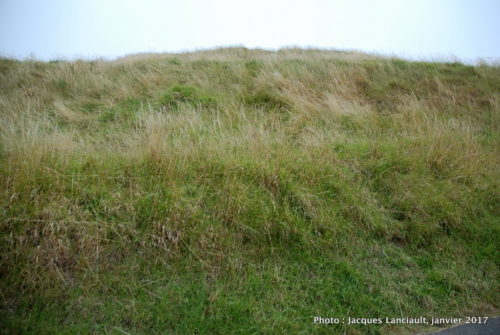 Mont Éden, Auckland, Nouvelle-Zélande