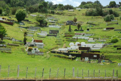 Cimetière māori, île du Nord, Nouvelle-Zélande