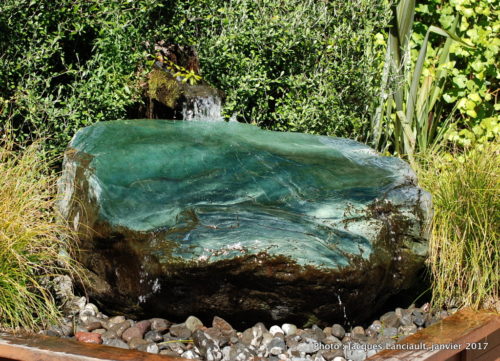 Parc naturel kiwi de Rainbow Springs, Rotorua, île du Nord, Nouvelle-Zélande