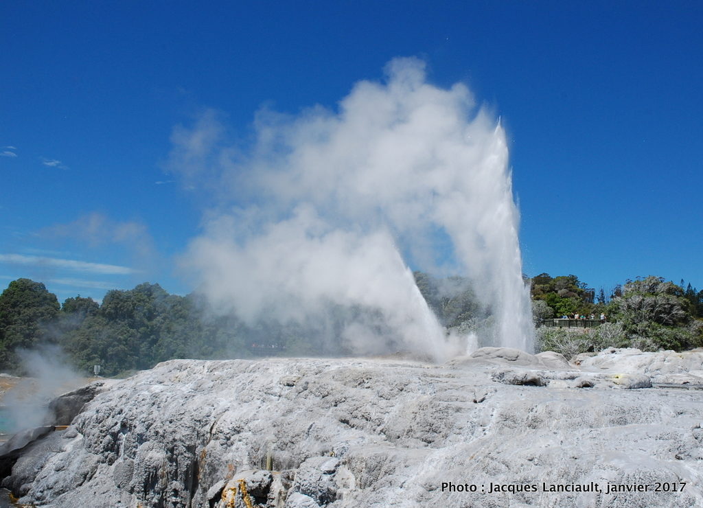 Geyser Pohutu, Rotorua, Nouvelle-Zélande